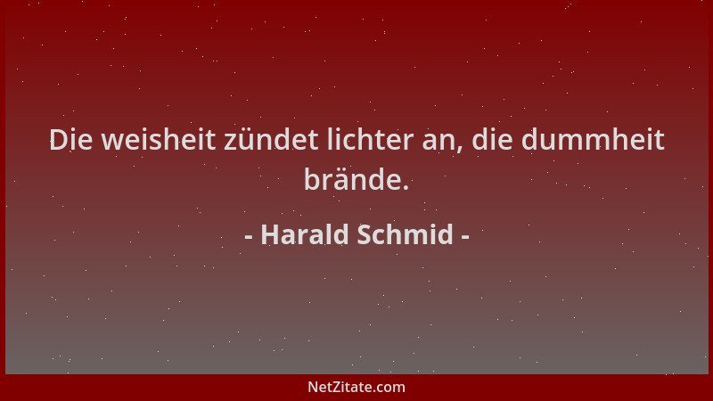 Harald Schmid - Die weisheit zündet lichter an, die dummheit brände....
