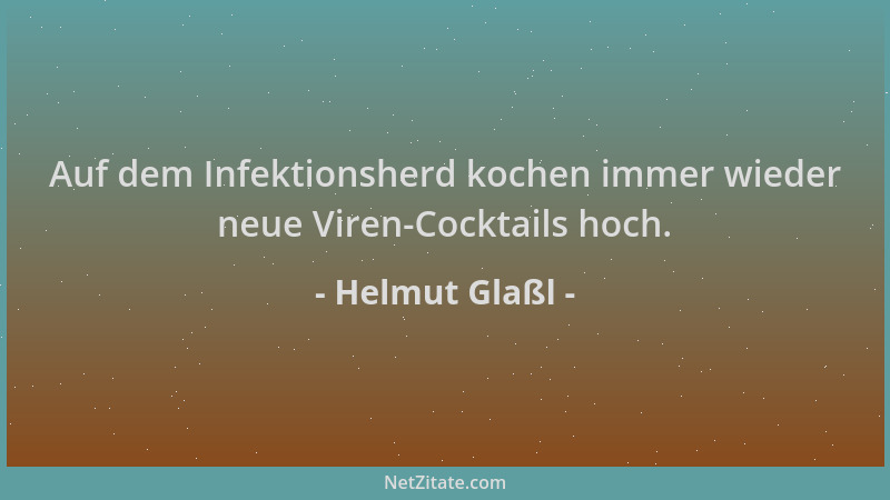 Helmut Glaßl - Auf dem Infektionsherd kochen immer wieder neue Viren-Cocktails hoch....