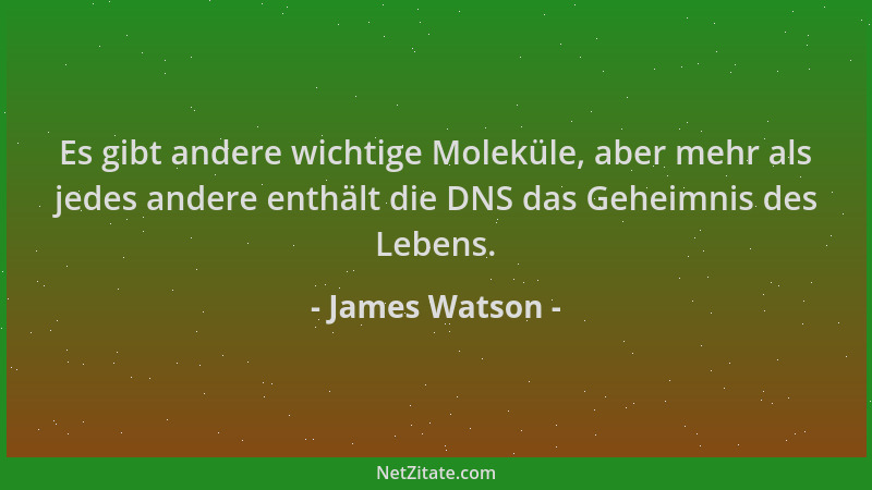 James Watson - Es gibt andere wichtige Moleküle, aber mehr als jedes andere enthält die DNS das Geheimnis des Lebens....