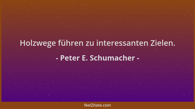 Peter E. Schumacher - Holzwege führen zu interessanten Zielen....