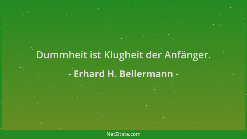 Erhard H. Bellermann - Dummheit ist Klugheit der Anfänger....