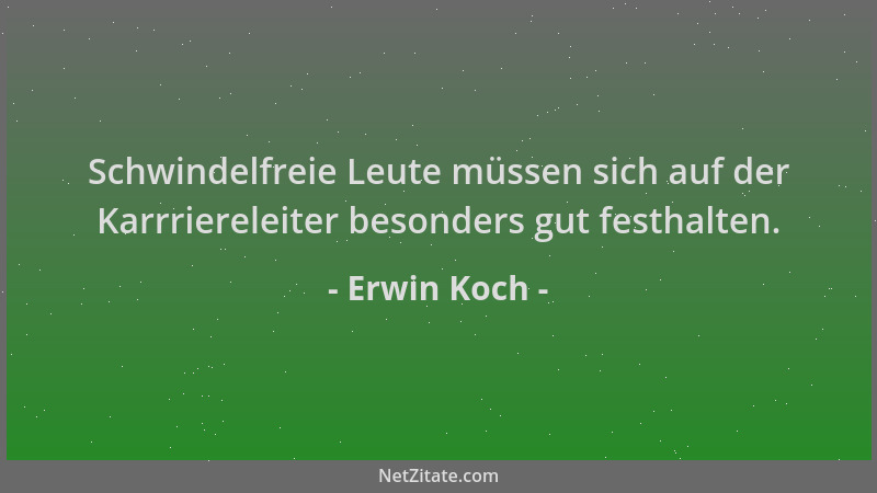 Erwin Koch - Schwindelfreie Leute müssen sich auf der Karrriereleiter besonders gut festhalten....