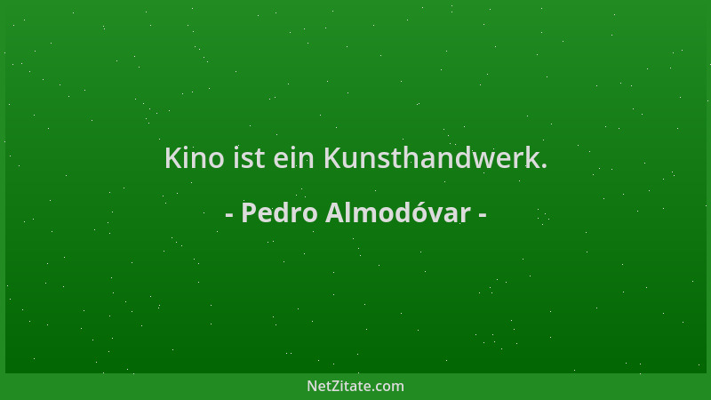 Pedro Almodóvar - Kino ist ein Kunsthandwerk....