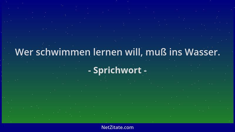 Sprichwort - Wer schwimmen lernen will, muß ins Wasser....