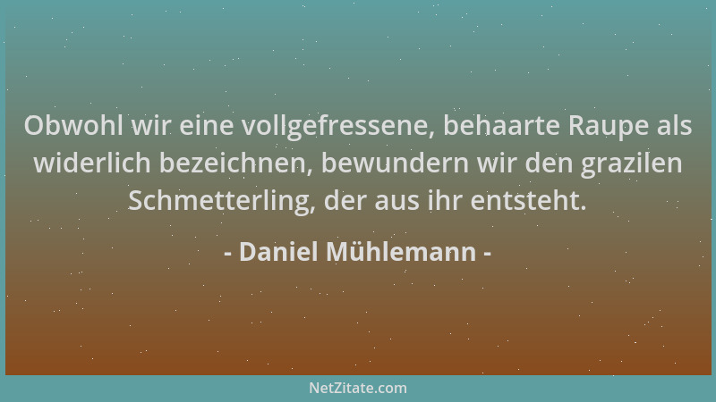 Daniel Mühlemann - Obwohl wir eine vollgefressene, behaarte Raupe als widerlich bezeichnen, bewundern wir den grazilen Schm...