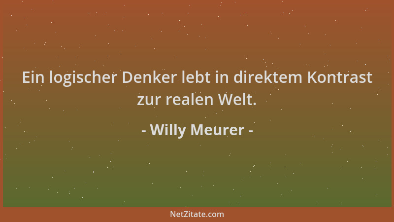 Willy Meurer - Ein logischer Denker lebt in direktem Kontrast zur realen Welt....