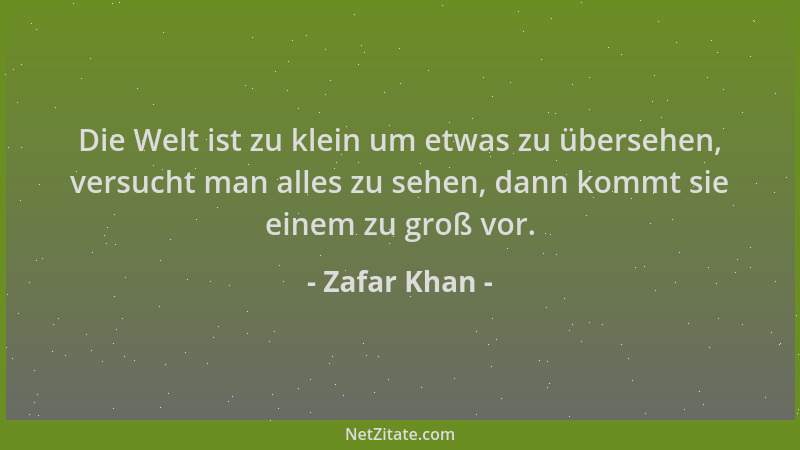 Zafar Khan - Die Welt ist zu klein um etwas zu übersehen, versucht man alles zu sehen, dann kommt sie einem zu groß vor....