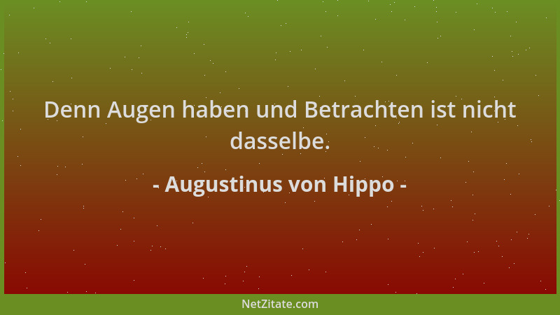 Augustinus von Hippo - Denn Augen haben und Betrachten ist nicht dasselbe....