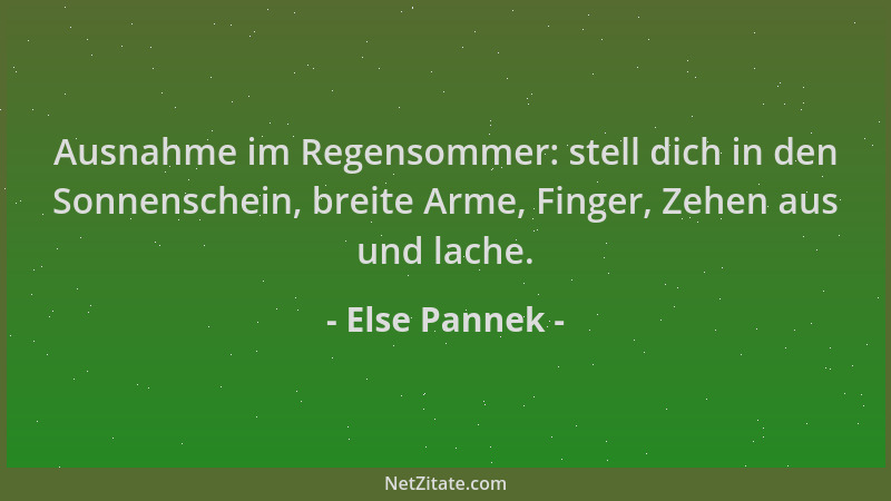 Else Pannek - Ausnahme im Regensommer: stell dich in den Sonnenschein, breite Arme, Finger, Zehen aus und lache....