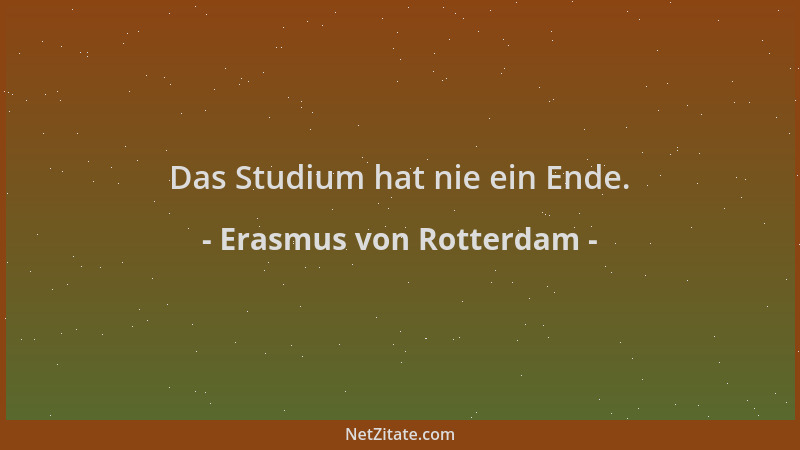 Erasmus von Rotterdam - Das Studium hat nie ein Ende....