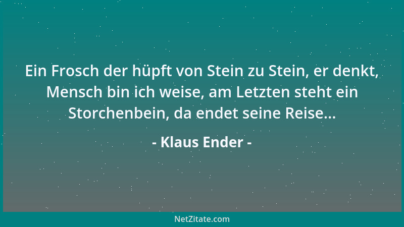 Klaus Ender - Ein Frosch der hüpft von Stein zu Stein, er denkt, Mensch bin ich weise, am Letzten steht ein Storchenbein, d...