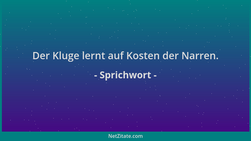 Sprichwort - Der Kluge lernt auf Kosten der Narren....
