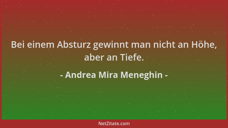 Andrea Mira Meneghin - Bei einem Absturz gewinnt man nicht an Höhe, aber an Tiefe....