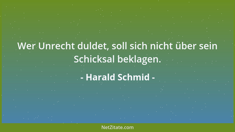 Harald Schmid - Wer Unrecht duldet, soll sich nicht über sein Schicksal beklagen....