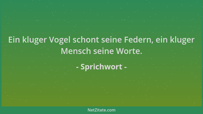 Sprichwort - Ein kluger Vogel schont seine Federn, ein kluger Mensch seine Worte....