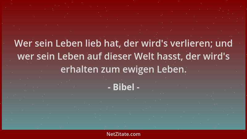 Bibel - Wer sein Leben lieb hat, der wird 's verlieren; und wer sein Leben auf dieser Welt hasst, der wird 's erhalten zum ew...