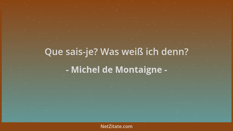 Michel de Montaigne - Que sais-je? Was weiß ich denn?...