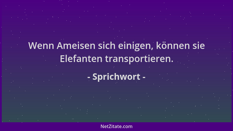 Sprichwort - Wenn Ameisen sich einigen, können sie Elefanten transportieren....