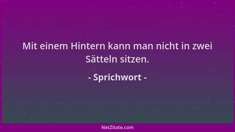 Sprichwort - Mit einem Hintern kann man nicht in zwei Sätteln sitzen....