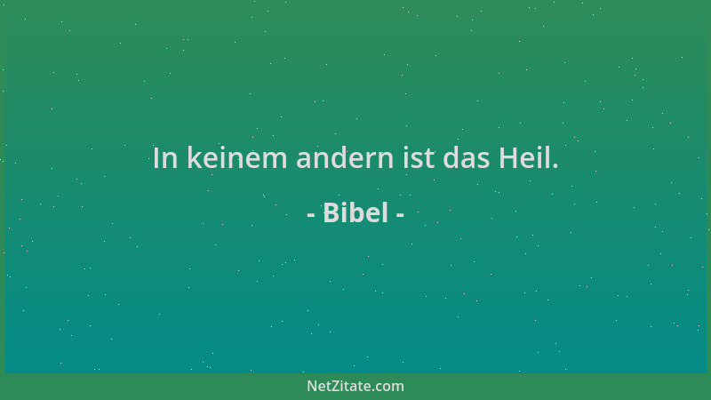 Bibel - In keinem andern ist das Heil....
