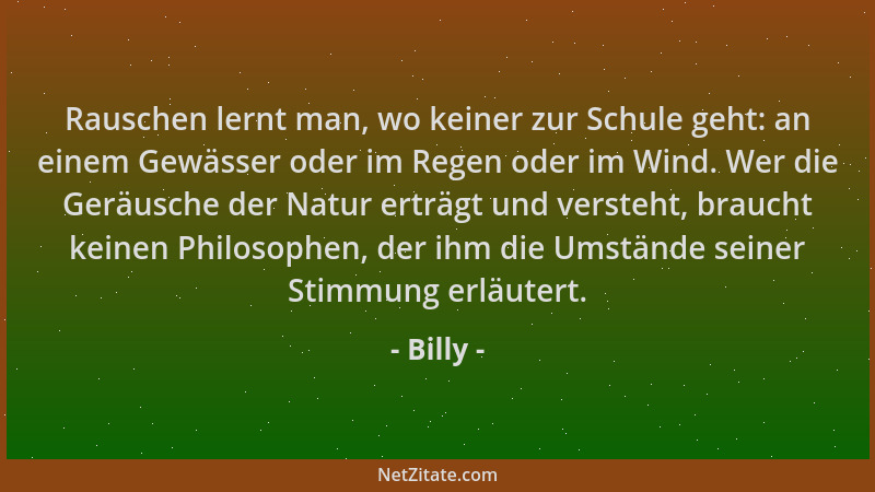 Billy - Rauschen lernt man, wo keiner zur Schule geht: an einem Gewässer oder im Regen oder im Wind. Wer die Geräusche der...