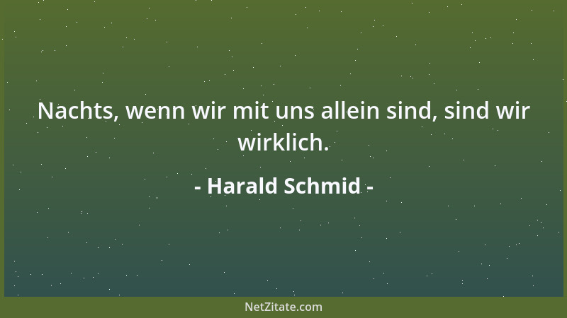 Harald Schmid - Nachts, wenn wir mit uns allein sind, sind wir wirklich....