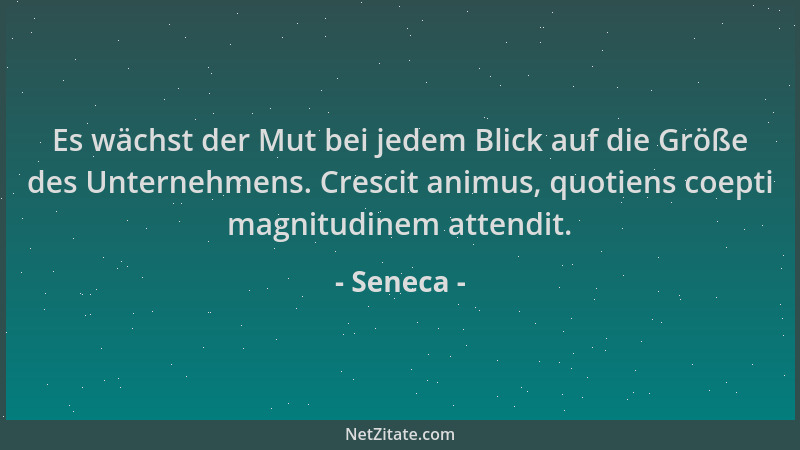 Seneca - Es wächst der Mut bei jedem Blick auf die Größe des Unternehmens. Crescit animus, quotiens coepti magnitudinem att...