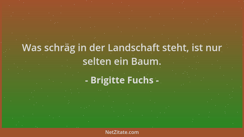 Brigitte Fuchs - Was schräg in der Landschaft steht, ist nur selten ein Baum....