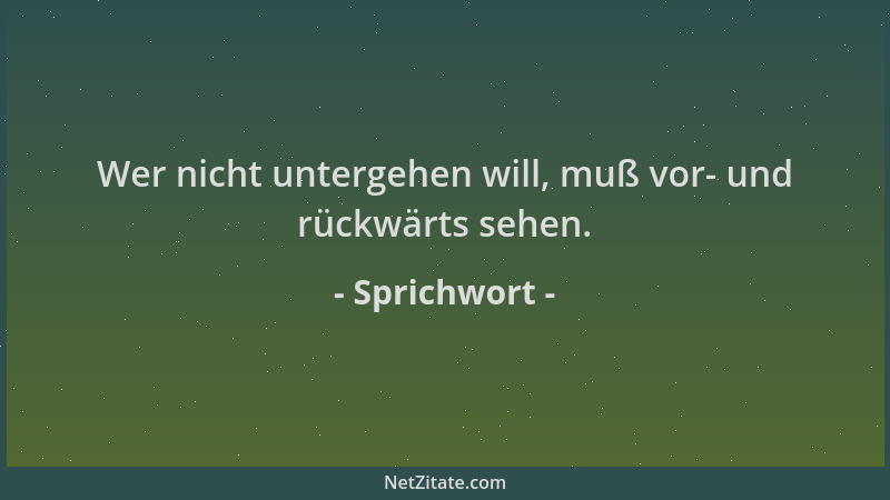 Sprichwort - Wer nicht untergehen will, muß vor- und rückwärts sehen....
