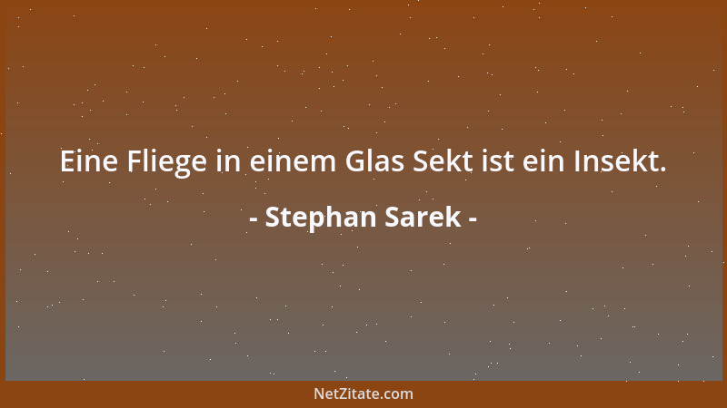 Stephan Sarek - Eine Fliege in einem Glas Sekt ist ein Insekt....