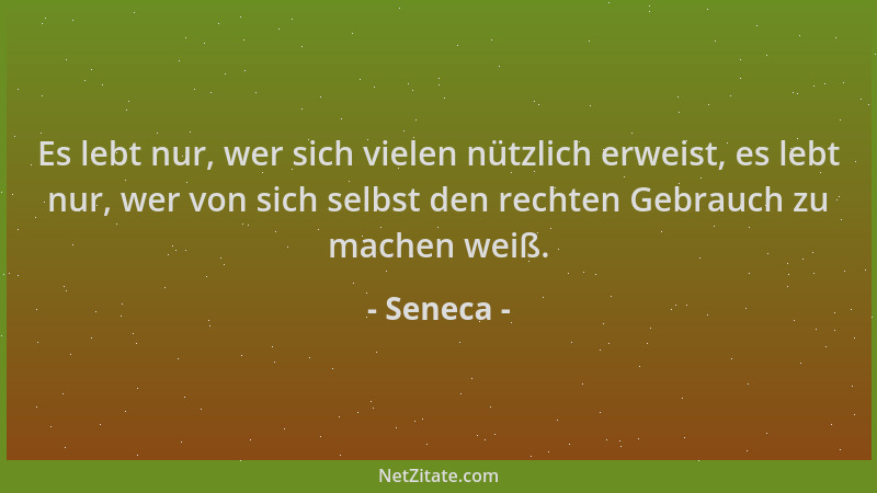 Seneca - Es lebt nur, wer sich vielen nützlich erweist, es lebt nur, wer von sich selbst den rechten Gebrauch zu machen wei...