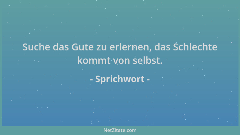Sprichwort - Suche das Gute zu erlernen, das Schlechte kommt von selbst....