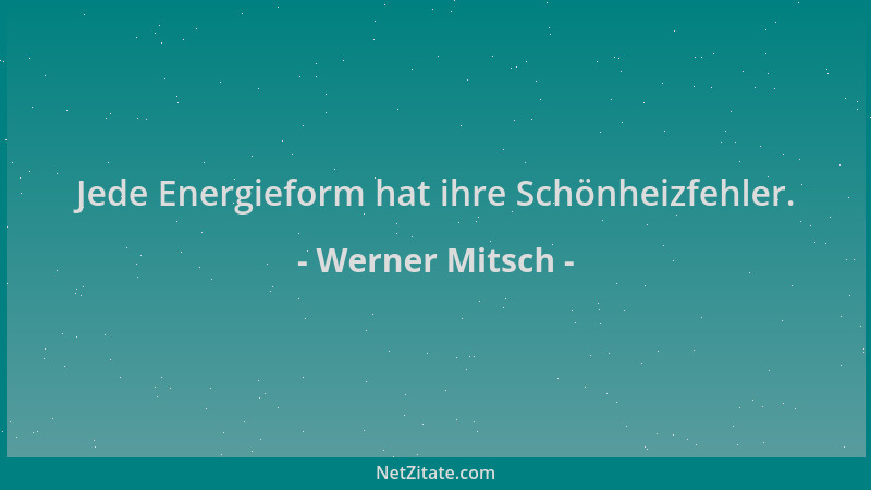 Werner Mitsch - Jede Energieform hat ihre Schönheizfehler....