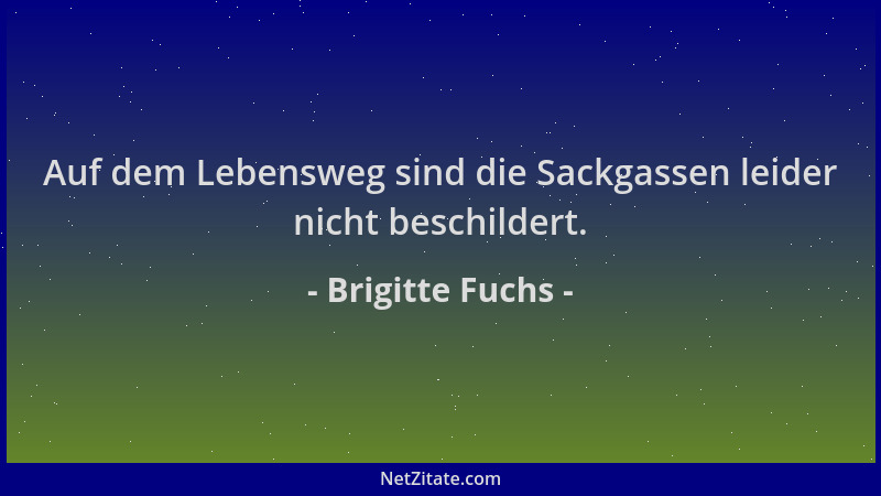 Brigitte Fuchs - Auf dem Lebensweg sind die Sackgassen leider nicht beschildert....