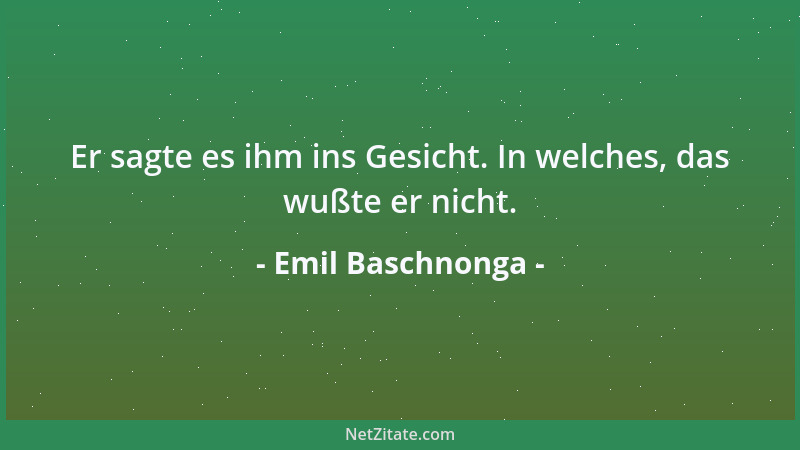 Emil Baschnonga - Er sagte es ihm ins Gesicht. In welches, das wußte er nicht....