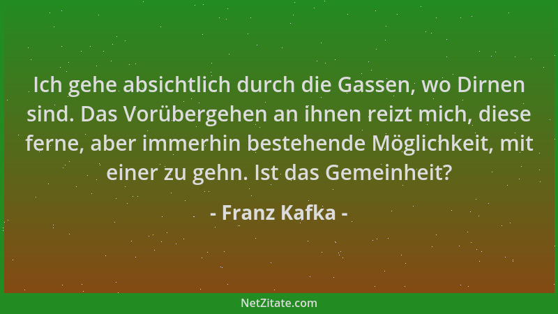 Franz Kafka - Ich gehe absichtlich durch die Gassen, wo Dirnen sind. Das Vorübergehen an ihnen reizt mich, diese ferne, abe...