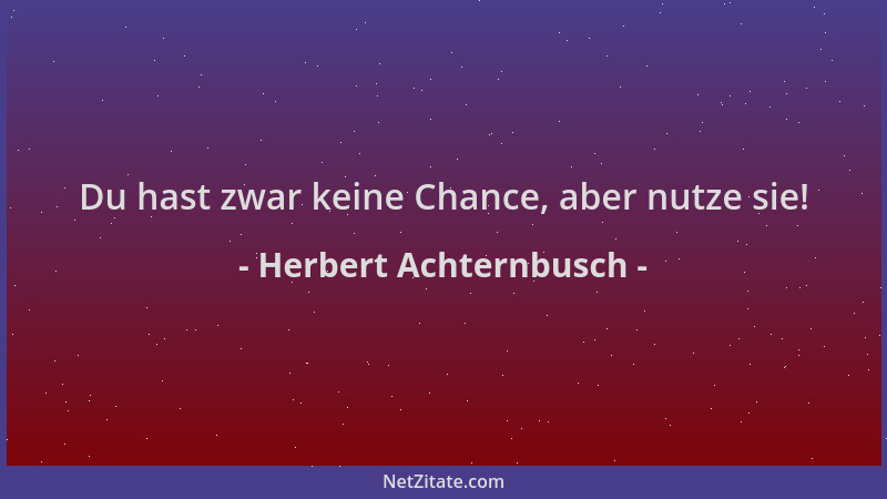 Herbert Achternbusch - Du hast zwar keine Chance, aber nutze sie!...