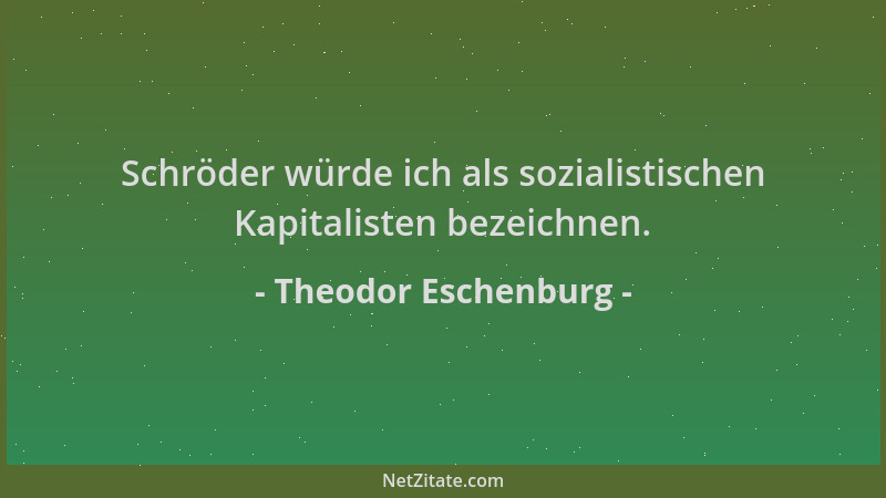 Theodor Eschenburg - Schröder würde ich als sozialistischen Kapitalisten bezeichnen....