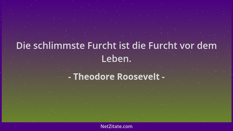 Theodore Roosevelt - Die schlimmste Furcht ist die Furcht vor dem Leben....