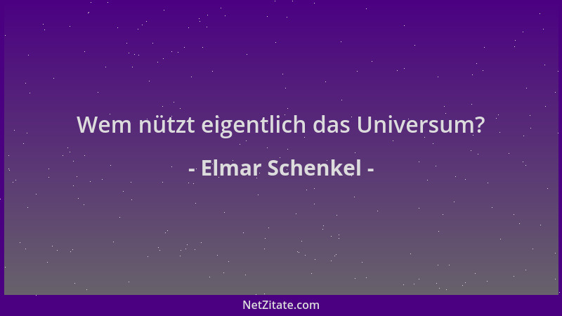 Elmar Schenkel - Wem nützt eigentlich das Universum?...
