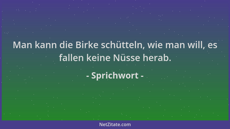 Sprichwort - Man kann die Birke schütteln, wie man will, es fallen keine Nüsse herab....