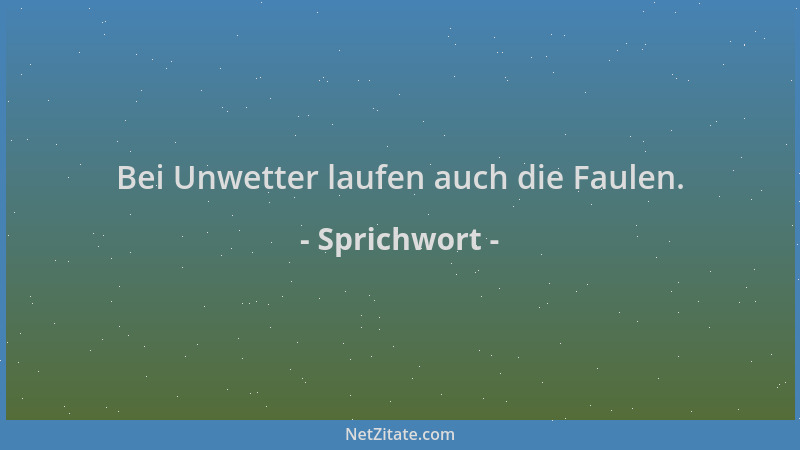 Sprichwort - Bei Unwetter laufen auch die Faulen....