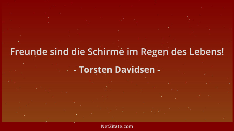 Torsten Davidsen - Freunde sind die Schirme im Regen des Lebens!...