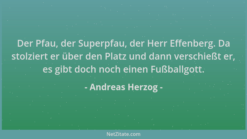 Andreas Herzog - Der Pfau, der Superpfau, der Herr Effenberg. Da stolziert er über den Platz und dann verschießt er, es gib...