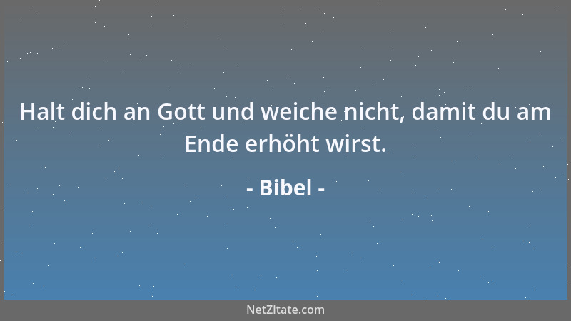 Bibel - Wer Menschenblut vergießt, dessen Blut soll auch durch Menschen vergossen werden; denn Gott hat den Menschen zu sei...