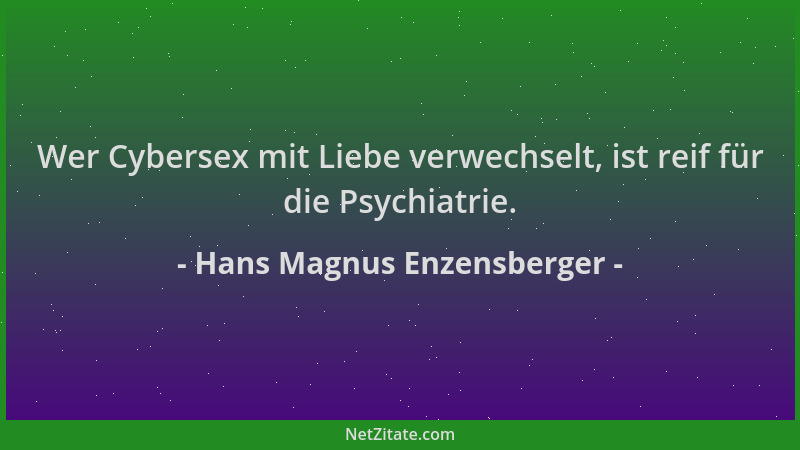 Hans Magnus Enzensberger - Wer Cybersex mit Liebe verwechselt, ist reif für die Psychiatrie....
