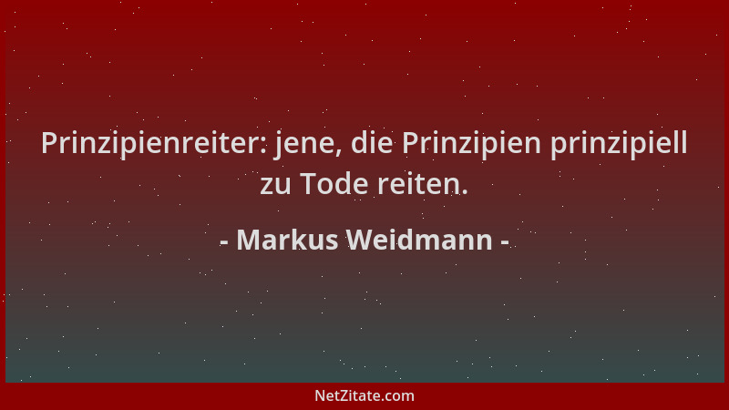 Markus Weidmann - Prinzipienreiter: jene, die Prinzipien prinzipiell zu Tode reiten....