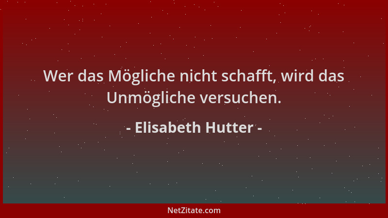 Elisabeth Hutter - Wer das Mögliche nicht schafft, wird das Unmögliche versuchen....