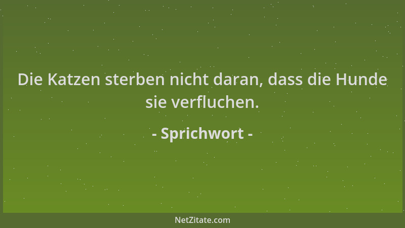 Sprichwort - Die Katzen sterben nicht daran, dass die Hunde sie verfluchen....