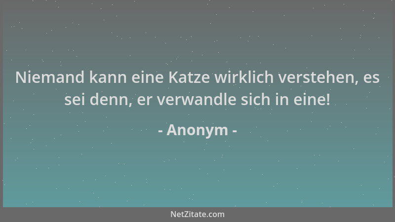 Anonym - Niemand kann eine Katze wirklich verstehen, es sei denn, er verwandle sich in eine!...